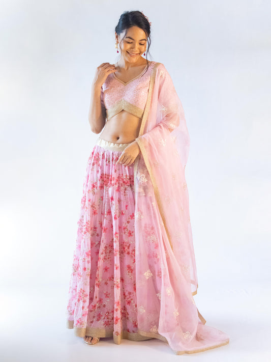 Apsara Pink Lehenga 2.0