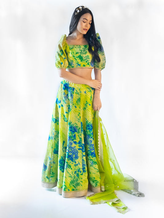 Feya Green Lehenga